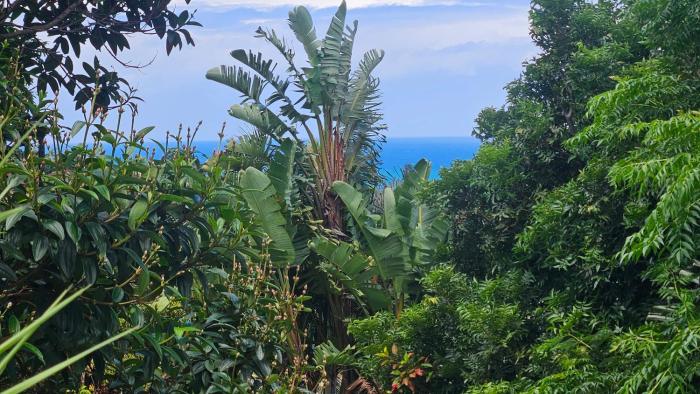 Wooden Townhouse close to Ramsgate Beach Basisha