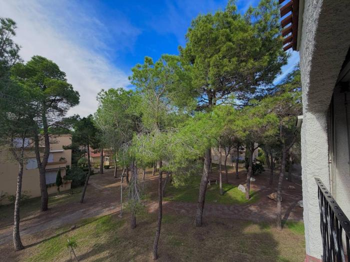 Appartement T2 traversant lumineux - 200m Plage, 4 pers - FR-1-388-248