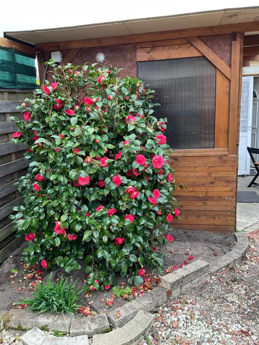 Au Jardin Despagne
