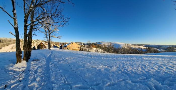 FeWo Harzer Leidenschaft bis 2 Hunde Willkommen TOP Lage DTV 5 Sterne 3 Pfoten