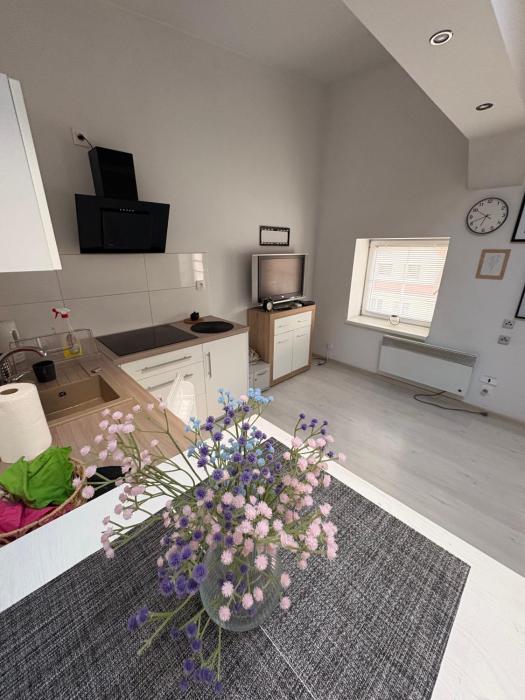 Apartament Andromeda Szczecin