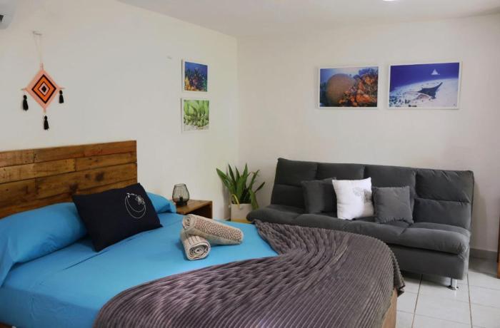 Comfy studio Yaxkin on downtown, 3 block away from sea and sunsets