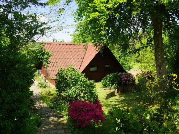 Holiday home in Süttorf with swimming pool