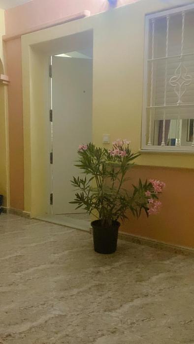 CASA LUTHI Costa Blanca