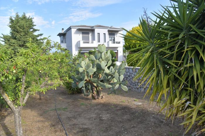 Cactus luxury apartment oreoi