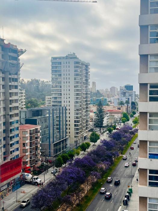 Alojamiento Entero en Centro de Viña del mar