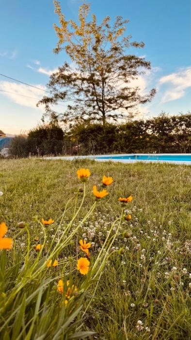 La Calandria, Casa de campo