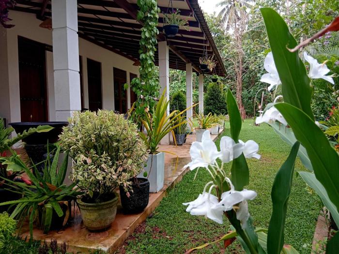 Cashew Villa Hiriketiya