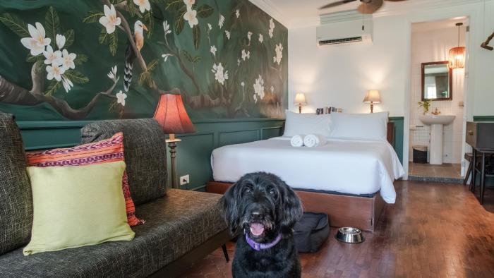 MiraNamin Nest CALACHUCHI - Cozy Room in Historic Home - Indoor Plunge Pool, Petite Desk, Garden View with Balcony, Self-Service Breakfast, Guest Kitchen, Rooftop, Pet-Friendly