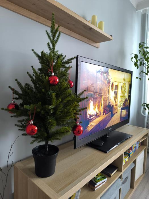 Ludza stay Apartment