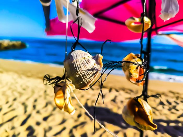 Williams apartments - third special studio