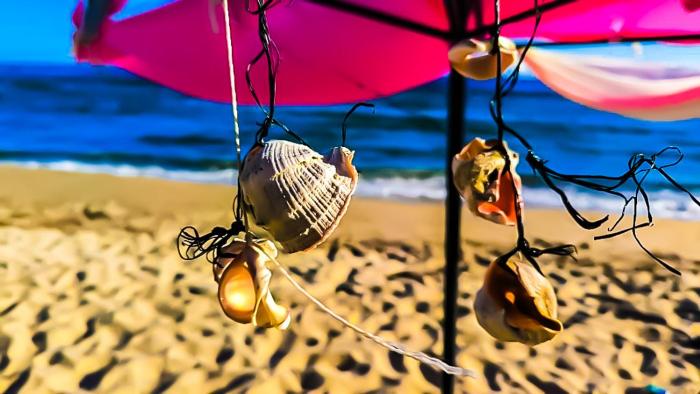 Williams apartments - fifth amazing studio