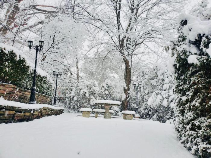 Cottage like home in Toronto