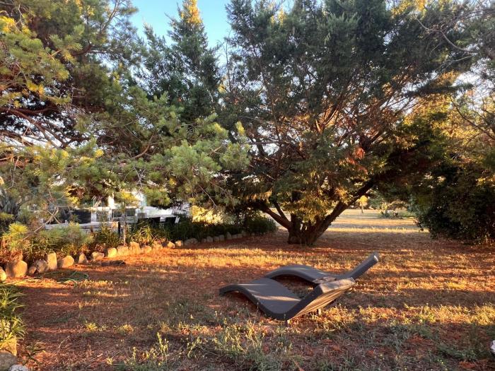 Magnifique chalet cosy