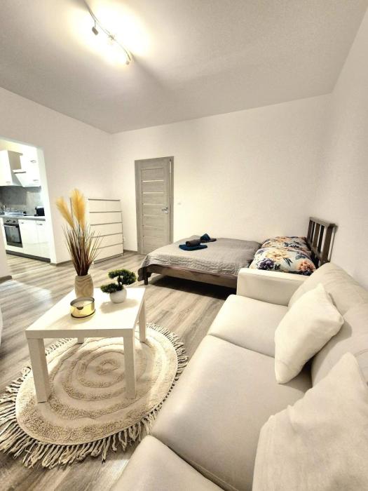 Nádherný apartmán v Ružinove