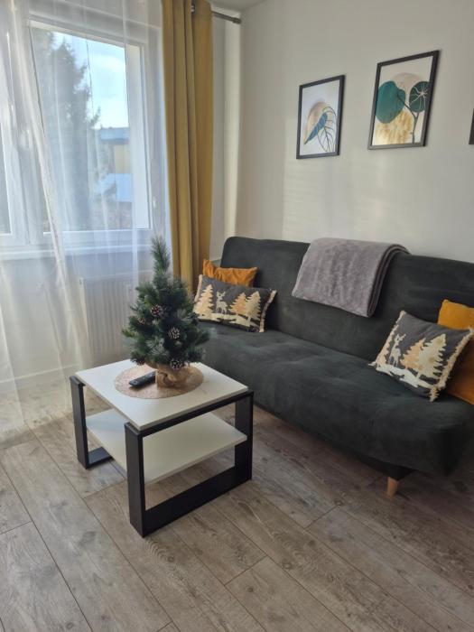 Apartament Miejski