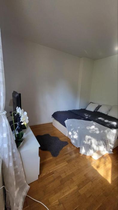 Nice apartment right in the center