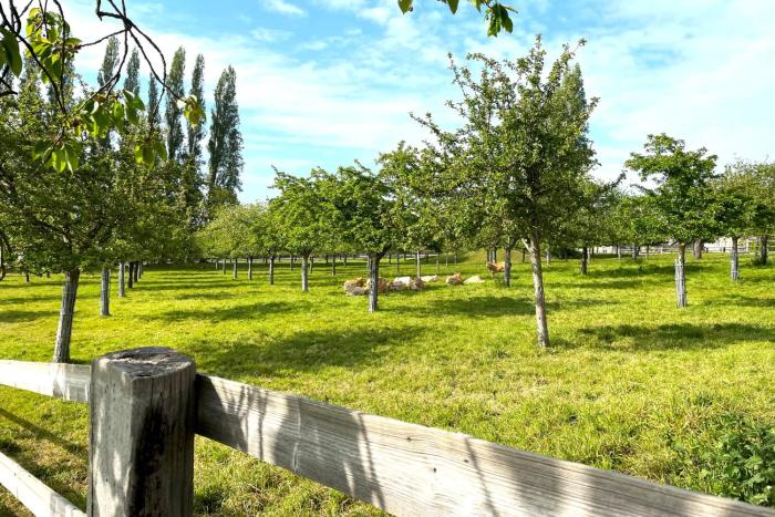 La Tourterelle - Domaine dAPREVAL - Campagne