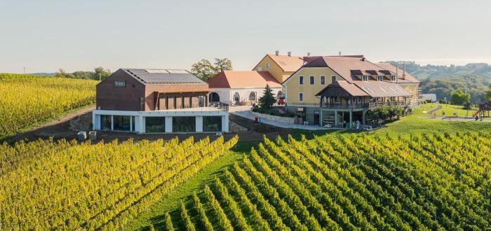 Wine & boutique hotel Terbotz