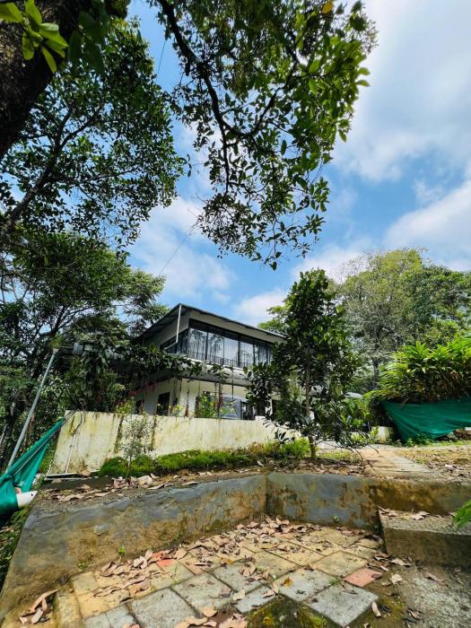 Hill valley farm resort