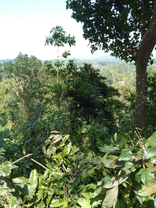 Mount view villa