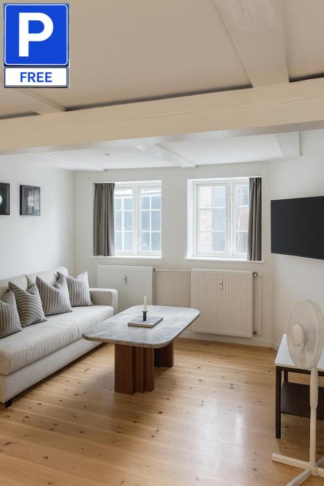 LD Central Lejlighed Odense C