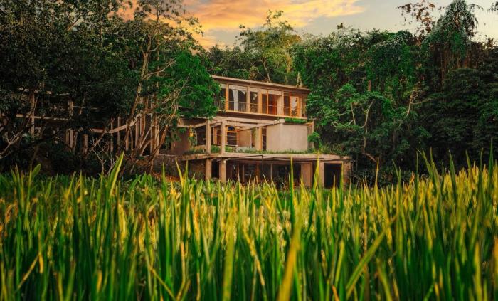 vrihee resort