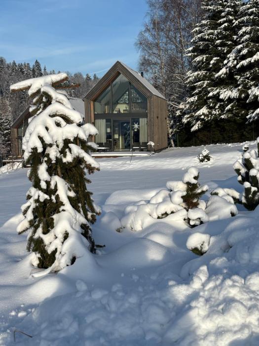 Domki Pod Lasem - Domek Bukowy