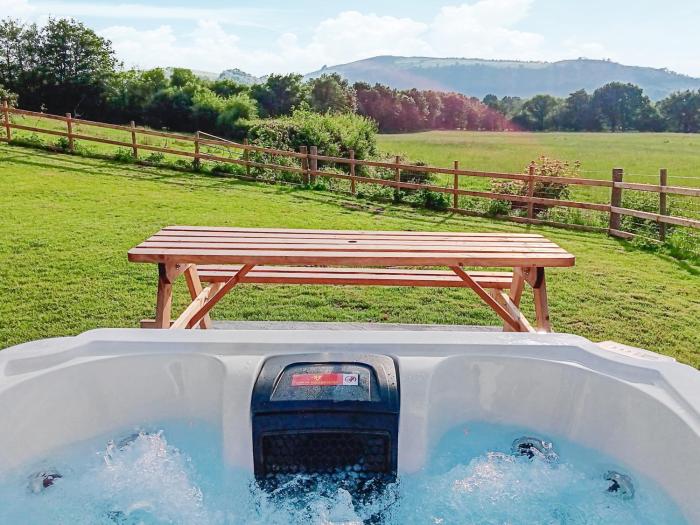 Teifi Cottage - Uk49590