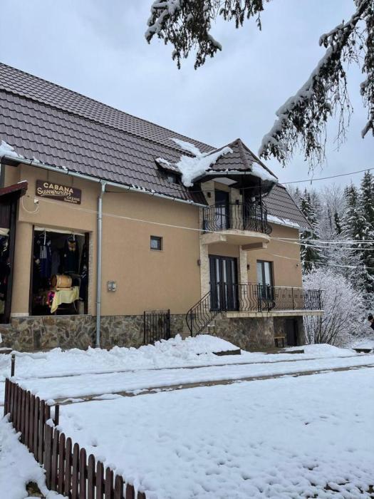 Cabana Suvenirurilor