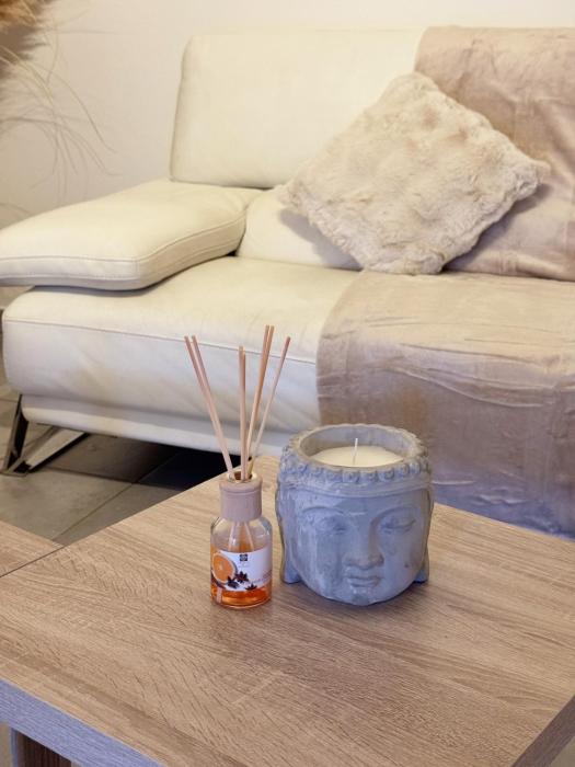 Spacieux Rez de Maison 7 Pers Clim Cour et Parking