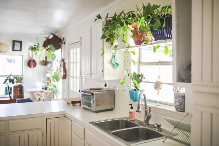 Stylish Musicians Flat With Creekside Garden