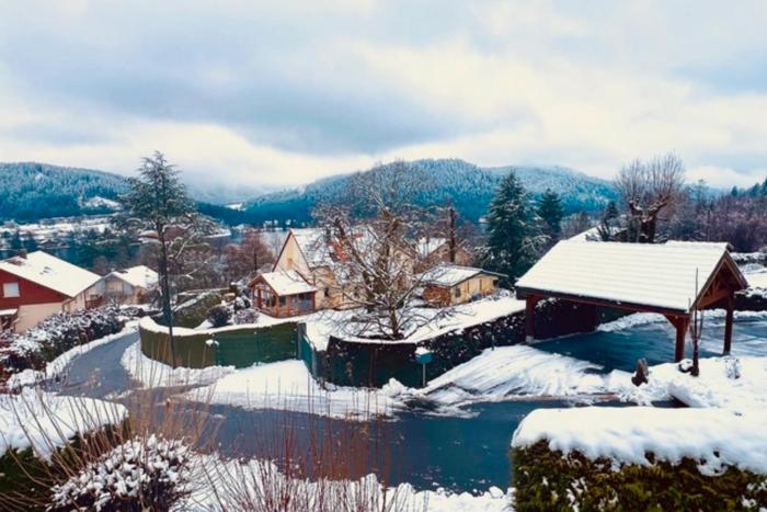 Cozy apartment with lake view