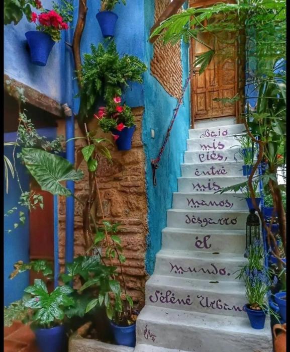 El patio azul Bohemio Mágico