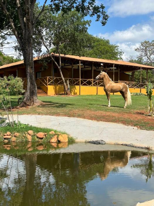Lapa Rupestre - Haras e Sitio Arqueológico