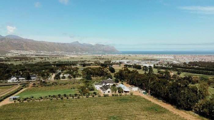 13 Olives, Entire Grape & Olive Estate, Somerset West by Euphoric Leisure