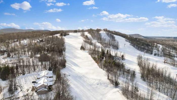 Premium Slope-Side Escape I Alpen Villas at Powderhorn Mountain