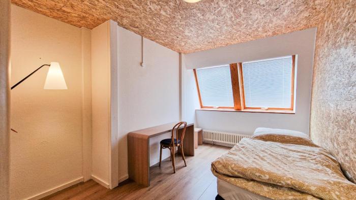 CopperRoof Eco Apartments im Herzen von Merseburg