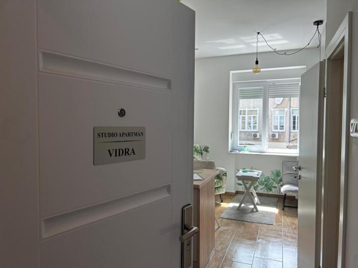 Studio apartment in center of Zagreb "Vidra"