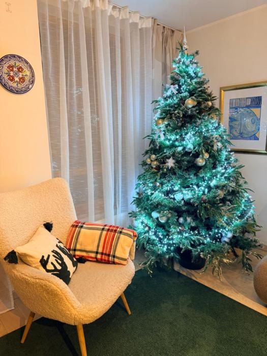 Cozy Center Druskininkai