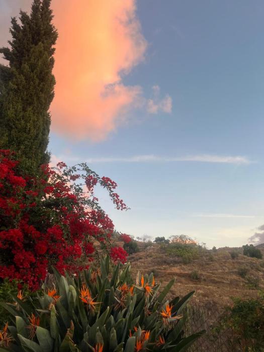 Sea and mountain views, quiet and close to Malaga