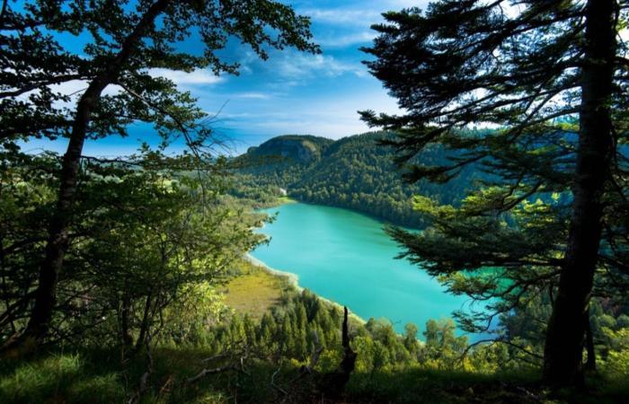 Maison au coeur du Jura - 4 chambres - 9 couchages