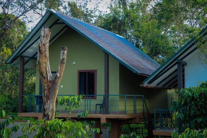 The Rain Tree resort