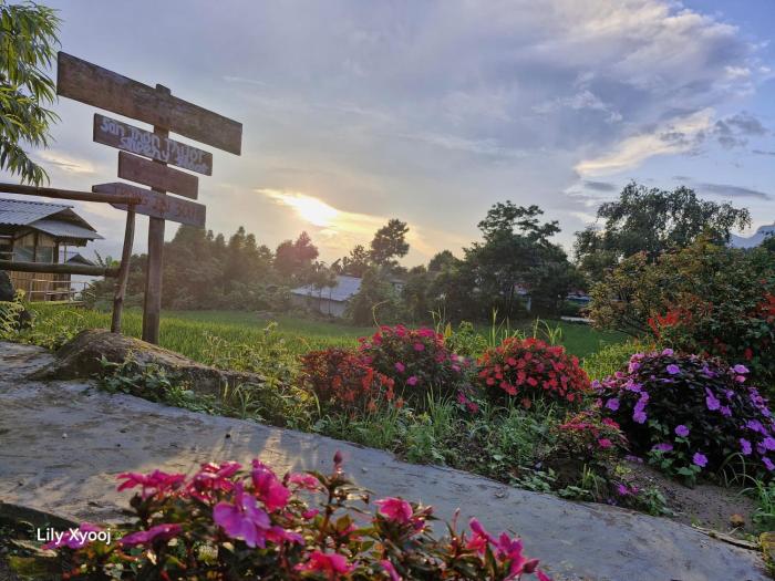 Tổ Ếch Homestay