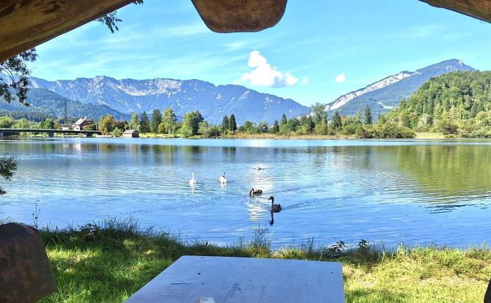 Seegut Steeg am Hallstättersee