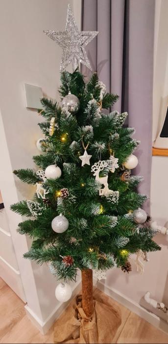 SzafranSKI Saneczkowa Apartment