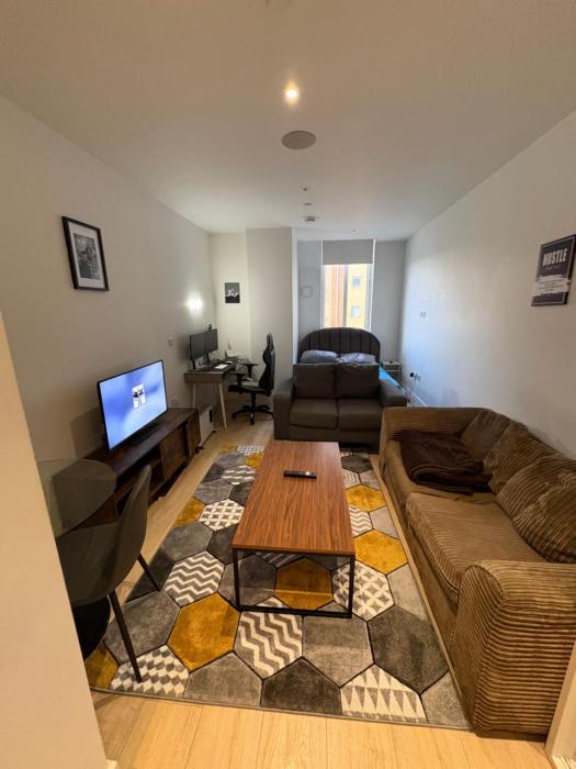 Modern Luxury Studio