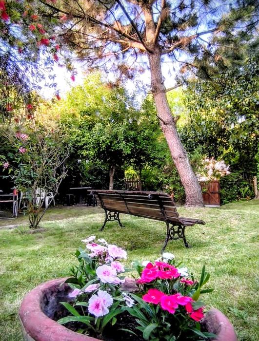 Depto 2 Chelson centro