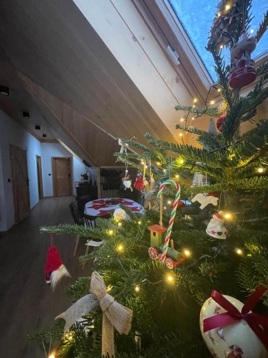 Apartament 920m n.p.m.