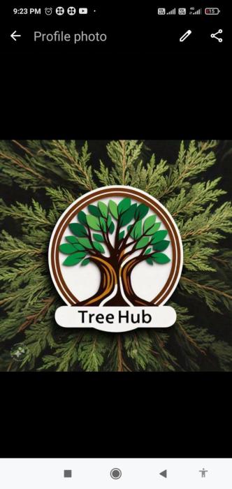 Tree Hub Jibhi
